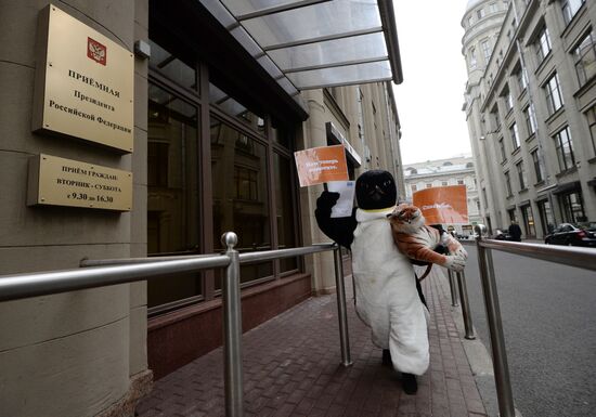 Penguin-dressed Antarctic Aliance activist hands letter to Russian President's office