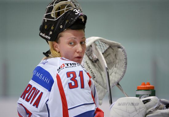 Ice Hockey. Russia, Germany clash in friendly