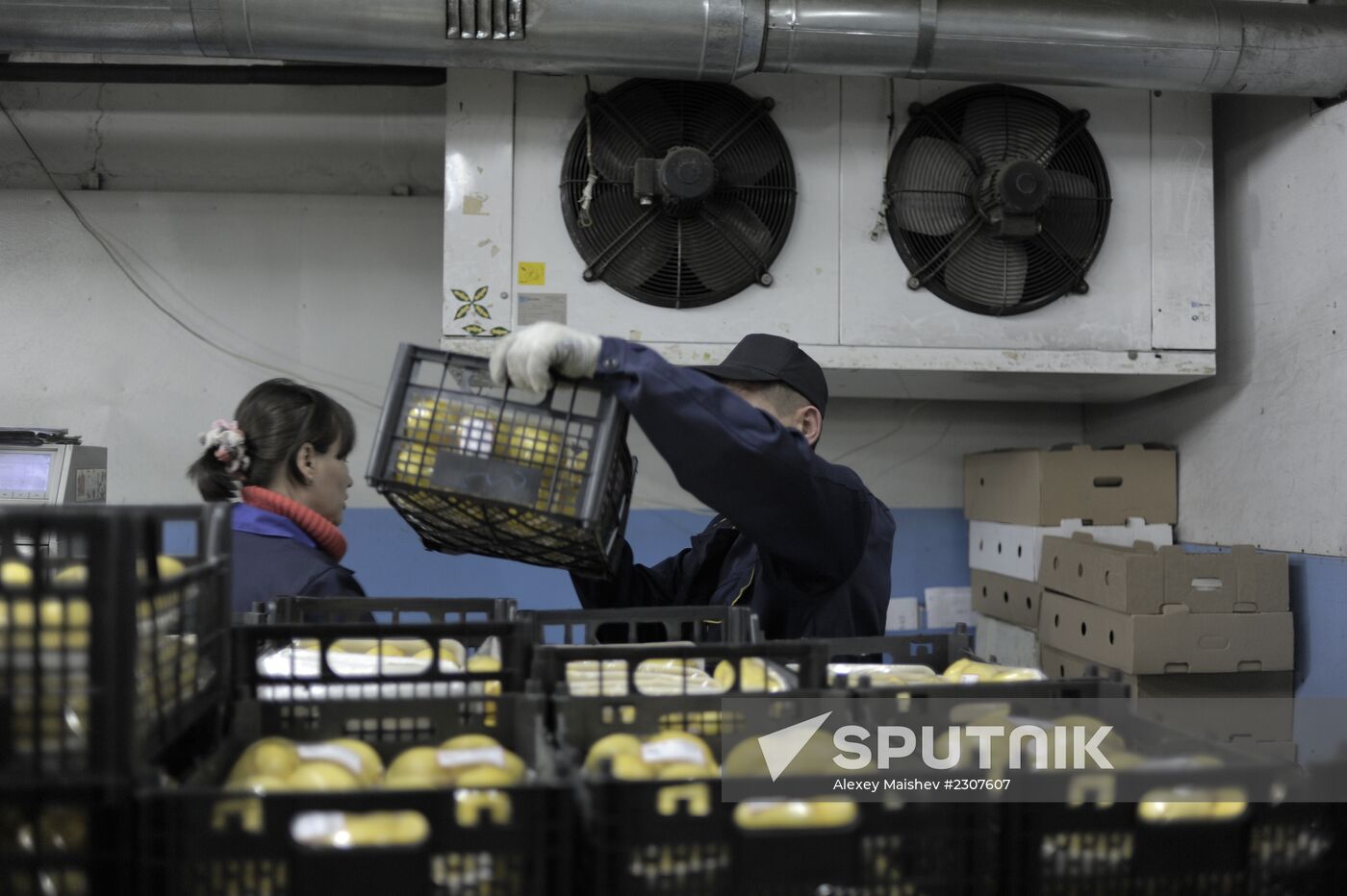 Vegetta JSC vegetable warehouse in Dolgoprudny