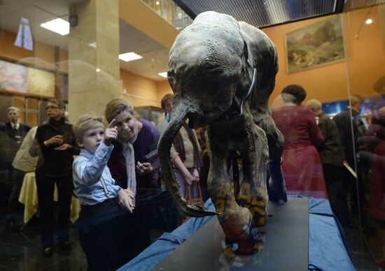 Exhibition "Mammoths Going" opens