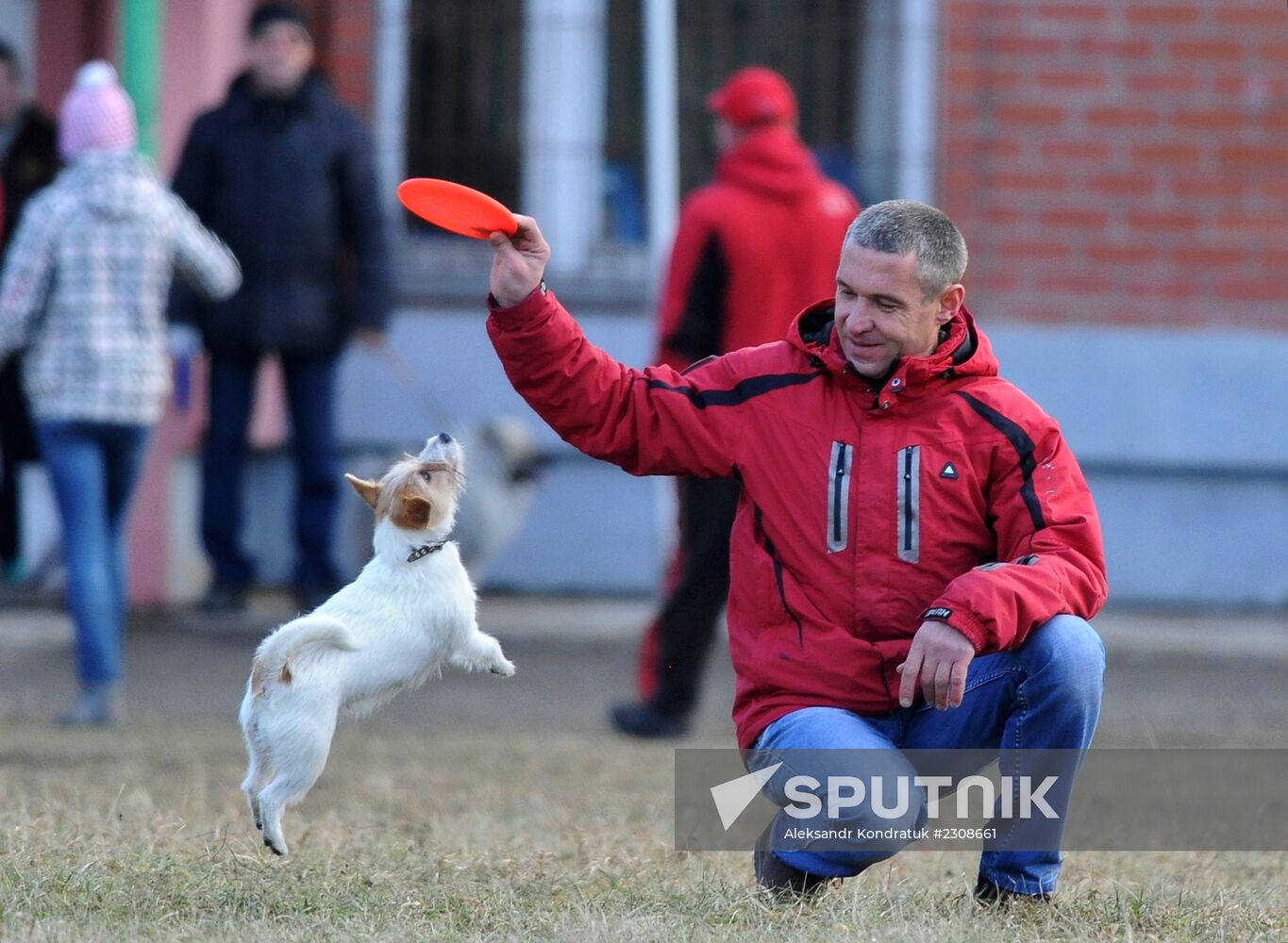 Frisbee dog competition in Chelyabinsk