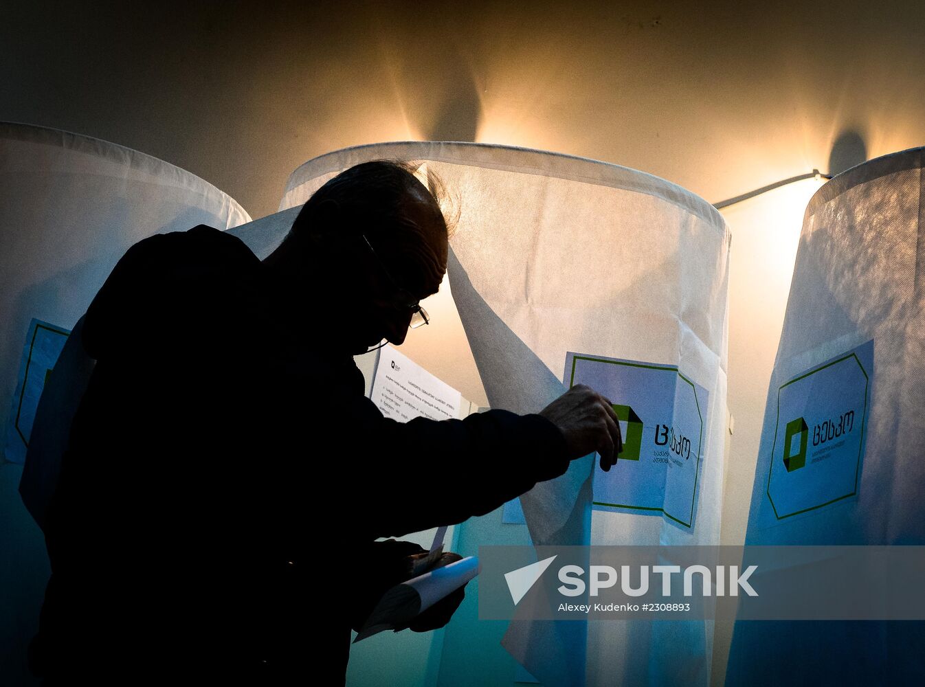 Georgia votes in presidential election