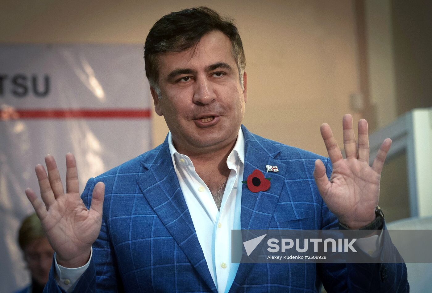 Georgia votes in presidential election