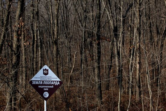 Land of the Leopard National Park in Primorye