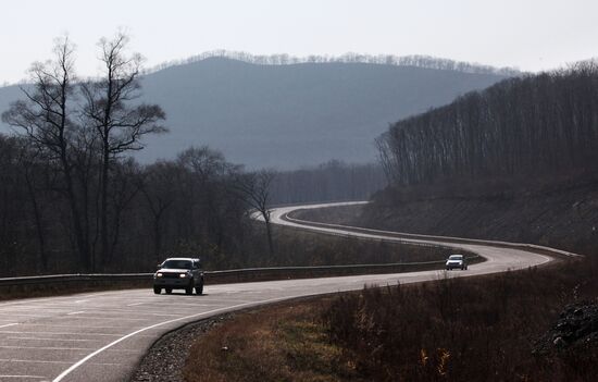 Land of the Leopard National Park in Primorye