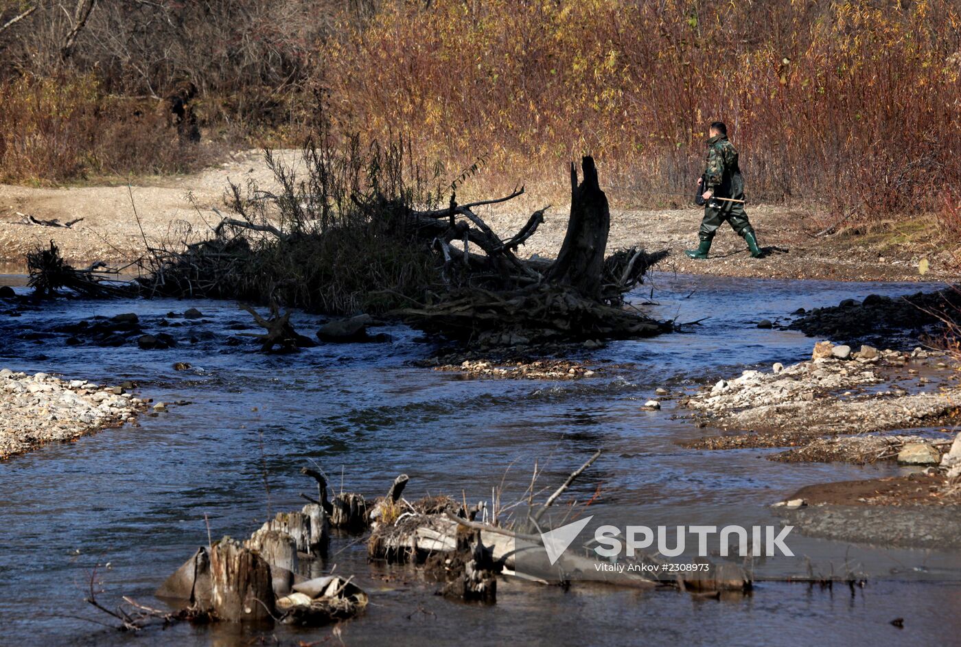 Land of the Leopard National Park in Primorye