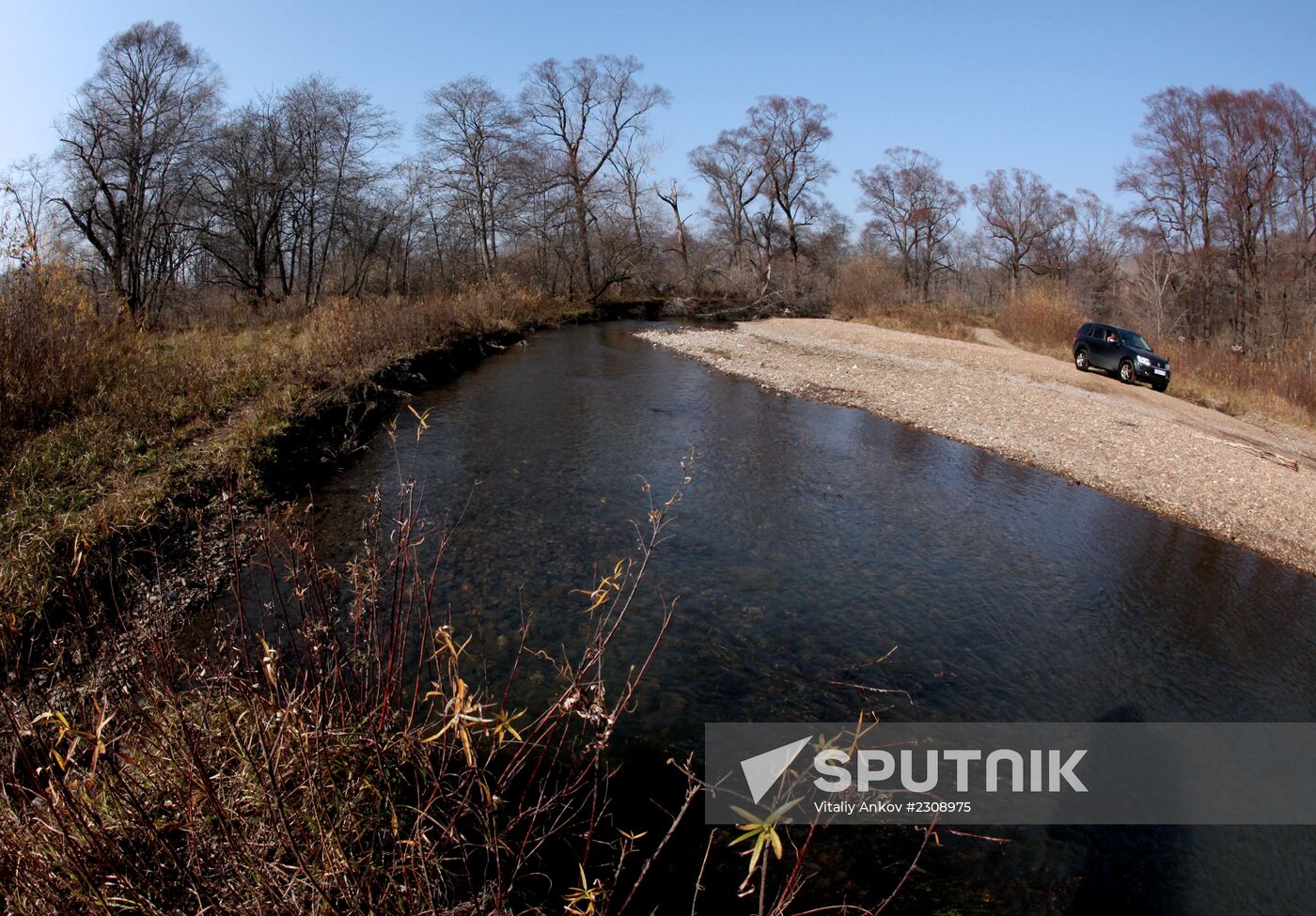Land of the Leopard National Park in Primorye