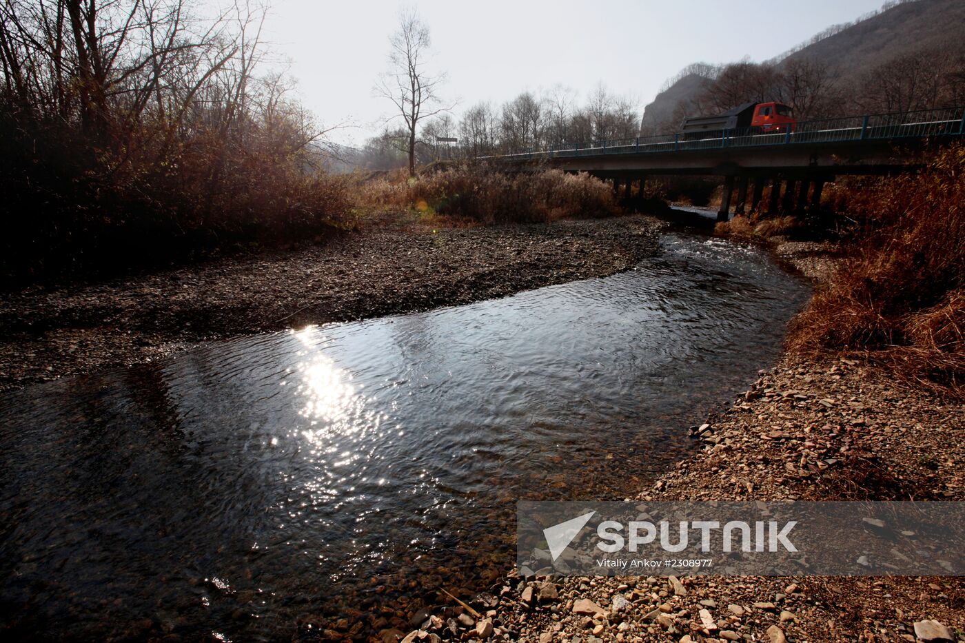 Land of the Leopard National Park in Primorye