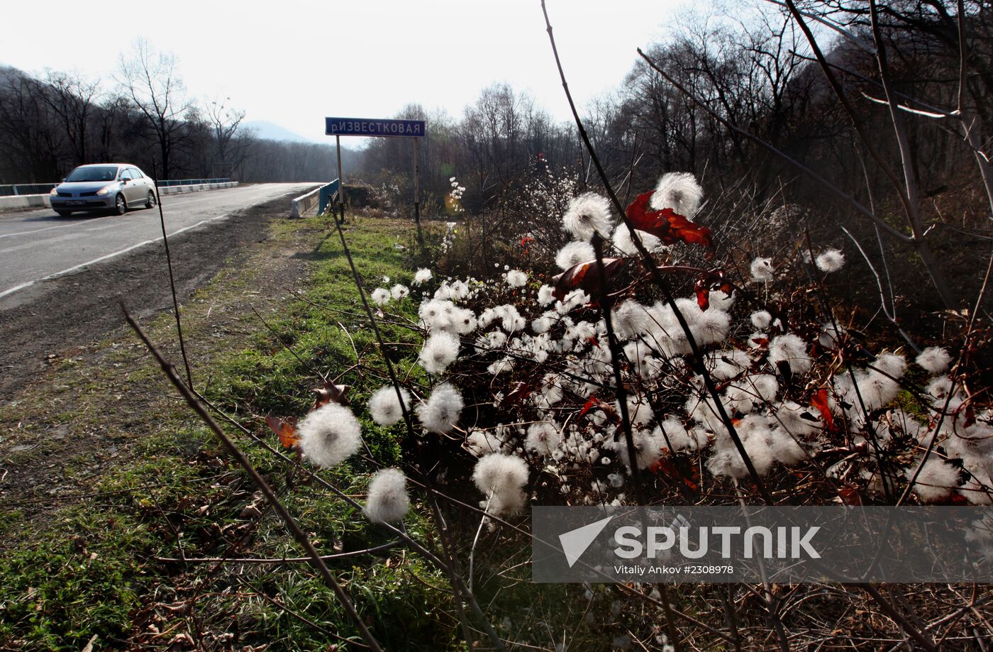 Land of the Leopard National Park in Primorye
