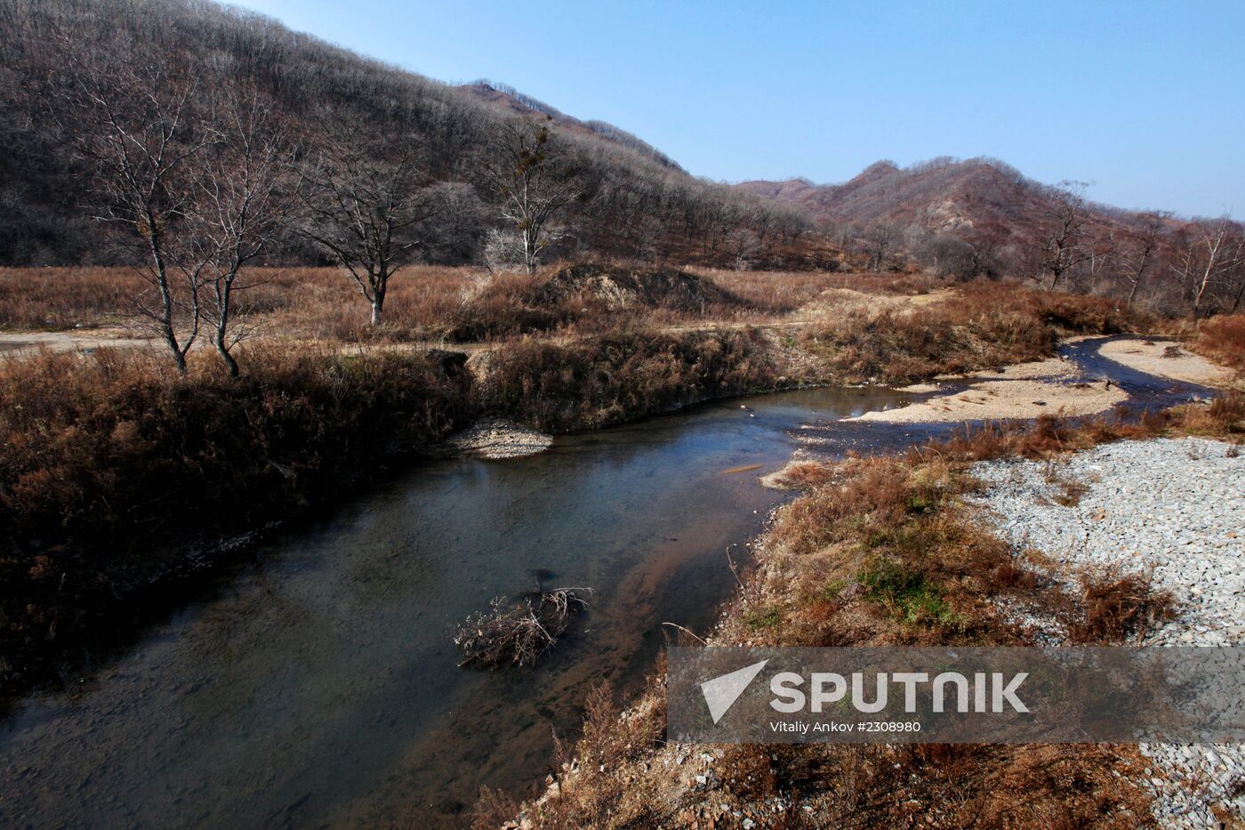 Land of the Leopard National Park in Primorye