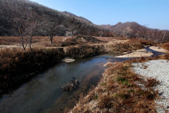 Land of the Leopard National Park in Primorye