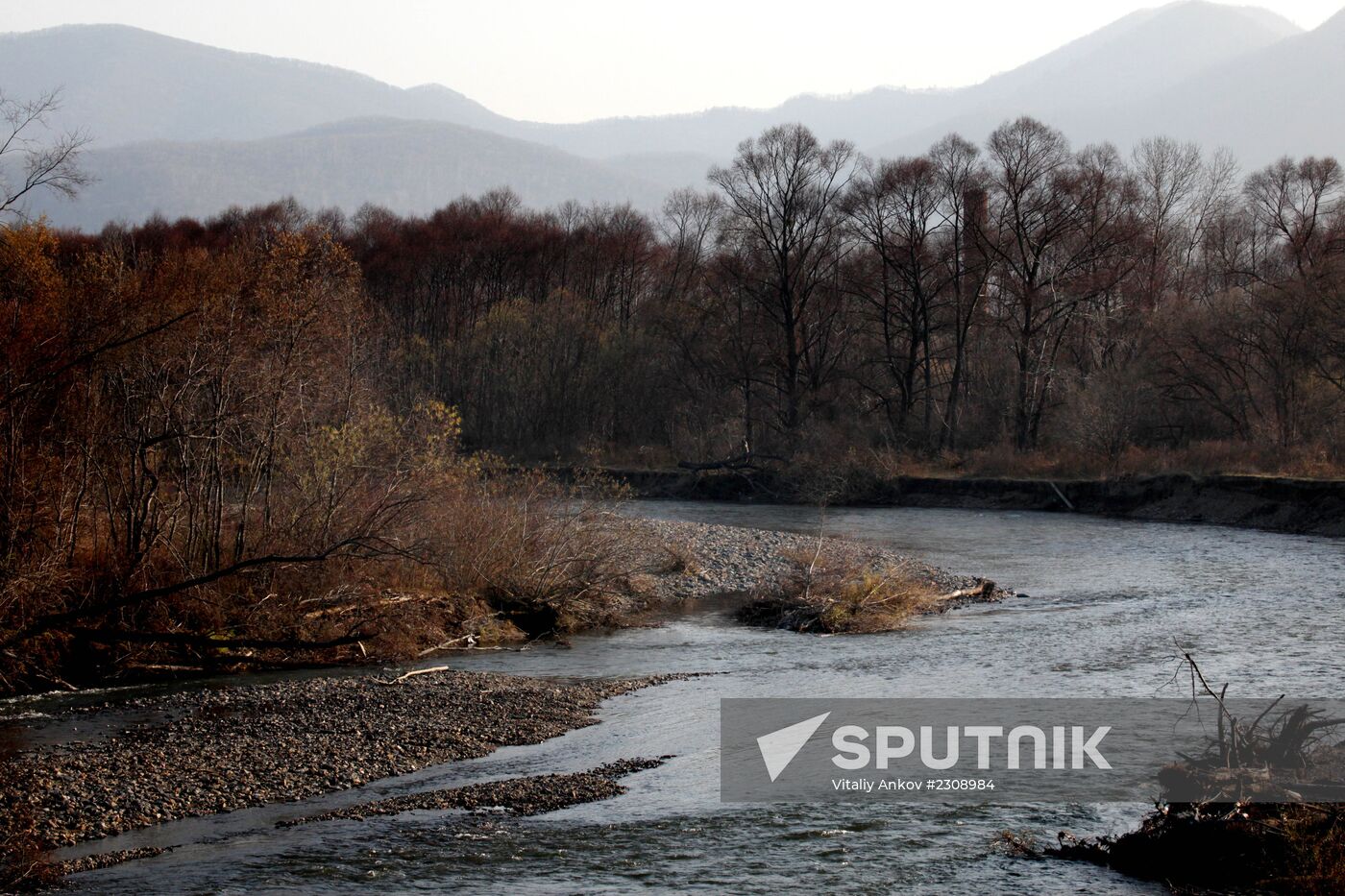 Land of the Leopard National Park in Primorye