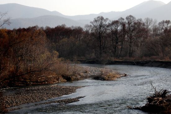 Land of the Leopard National Park in Primorye