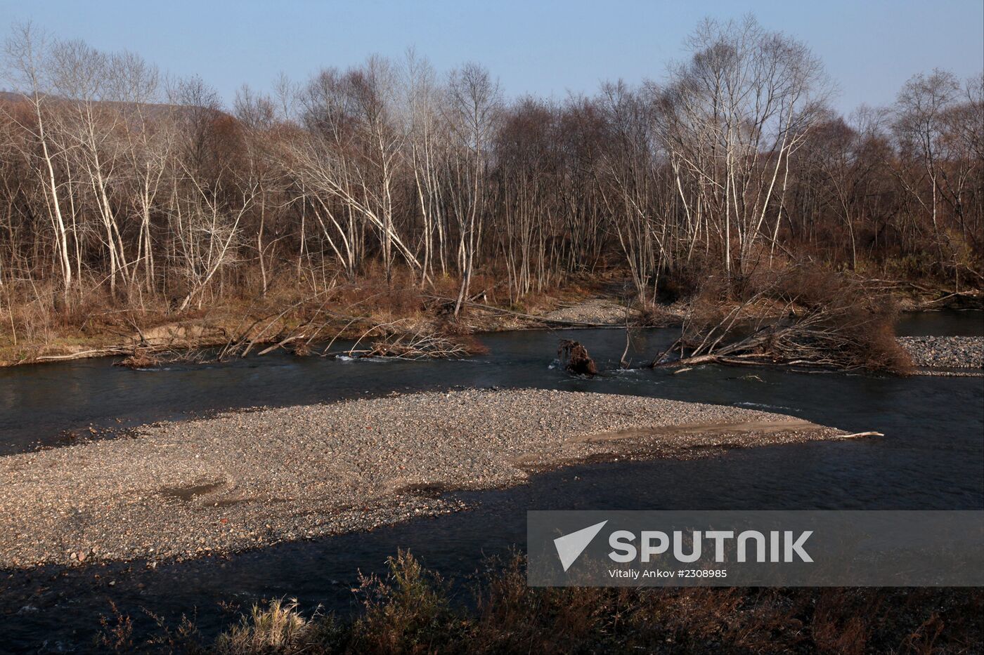 Land of the Leopard National Park in Primorye