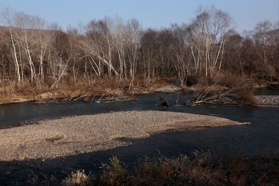 Land of the Leopard National Park in Primorye