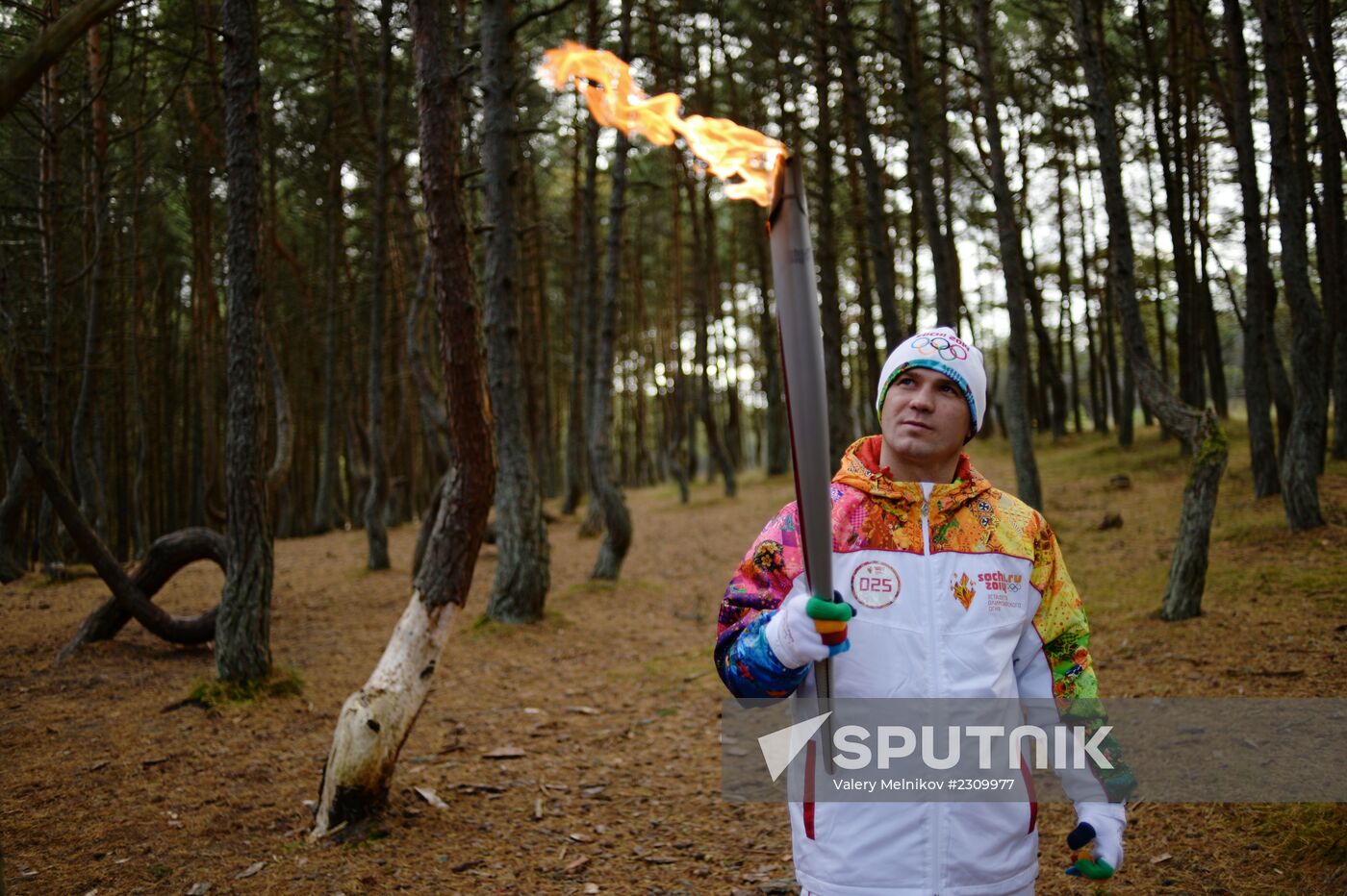Olympic torch relay. Kaliningrad Region