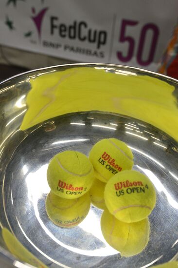 Tennis. 2013 Fed Cup. Finals. Draw