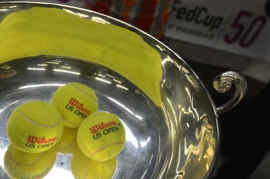 Tennis. 2013 Fed Cup. Finals. Draw
