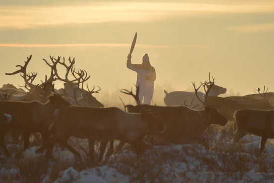 Sochi 2014 Olympic torch relay. Naryan-Mar