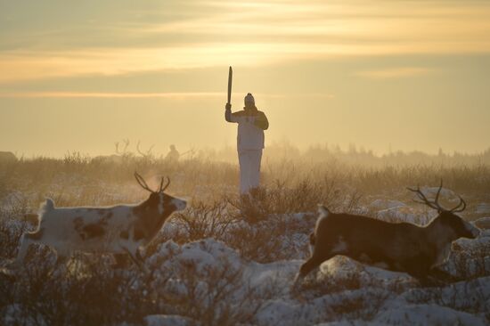 Sochi 2014 Olympic torch relay. Naryan-Mar