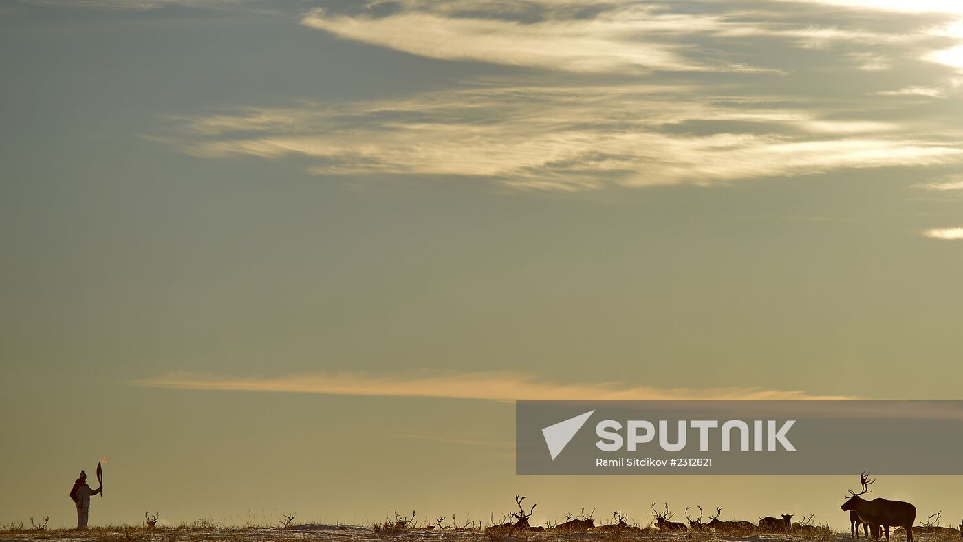 Herd of deer in Nenets Autonomous Area