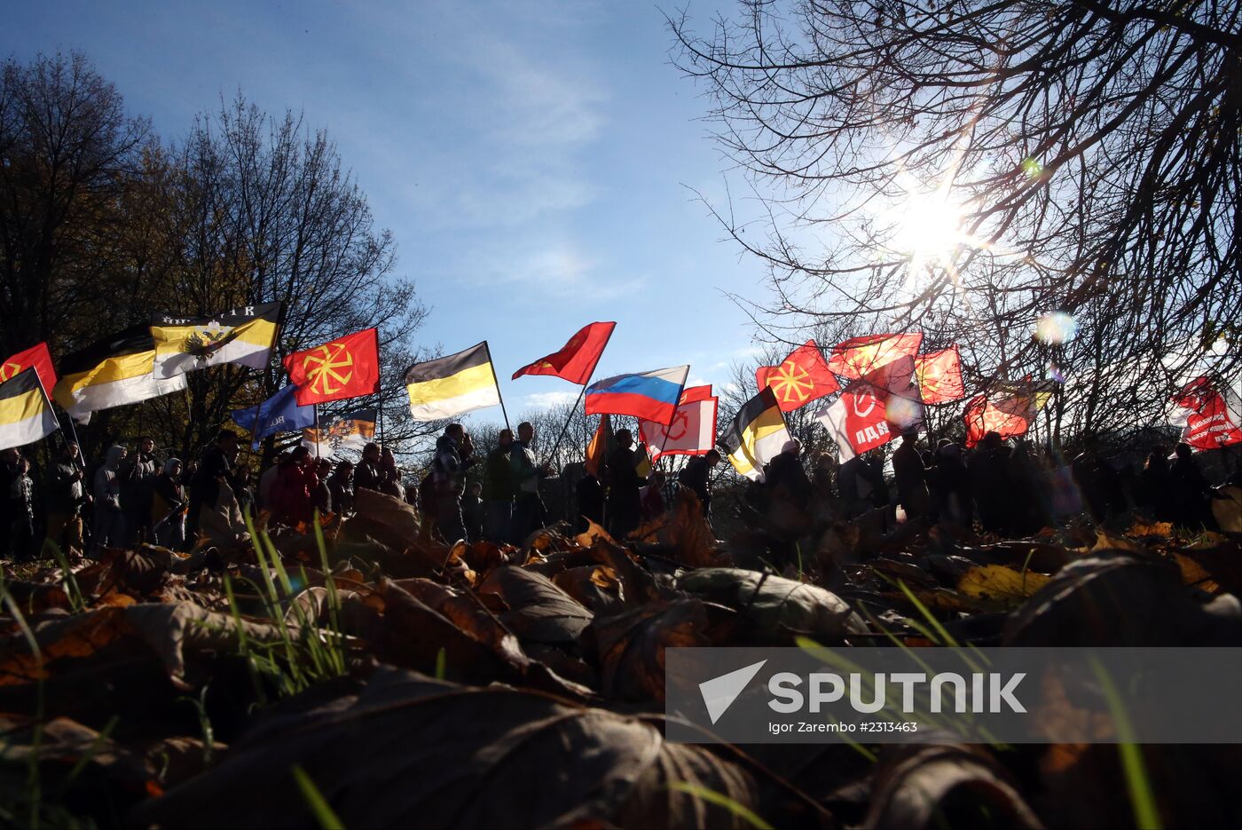 Russian March in Russia's regions