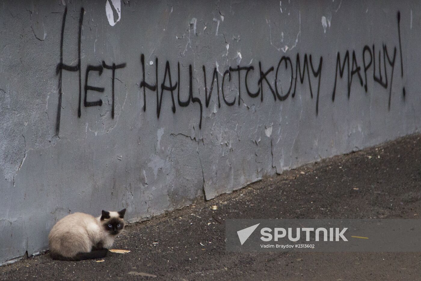 Russian March in Russia's regions