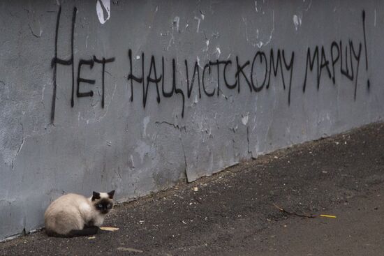 Russian March in Russia's regions