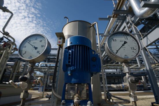 The launch of Dzhubginskaya Thermal Power Plant
