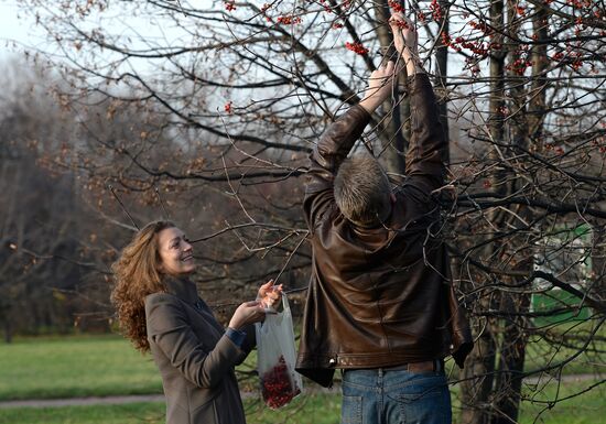 Warm weather in Moscow