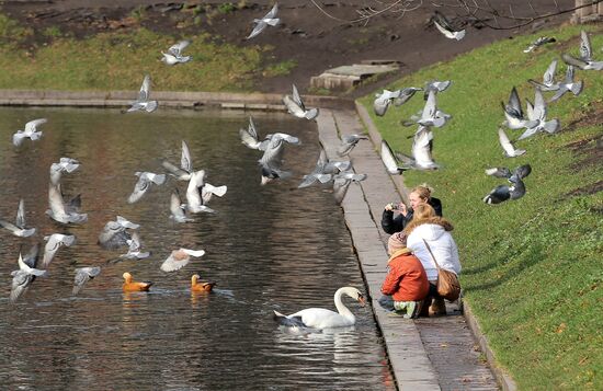 Warm weather in Moscow