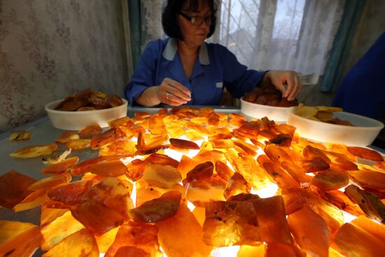 Manufacturing amber items at Kaliningrad Amber Factory