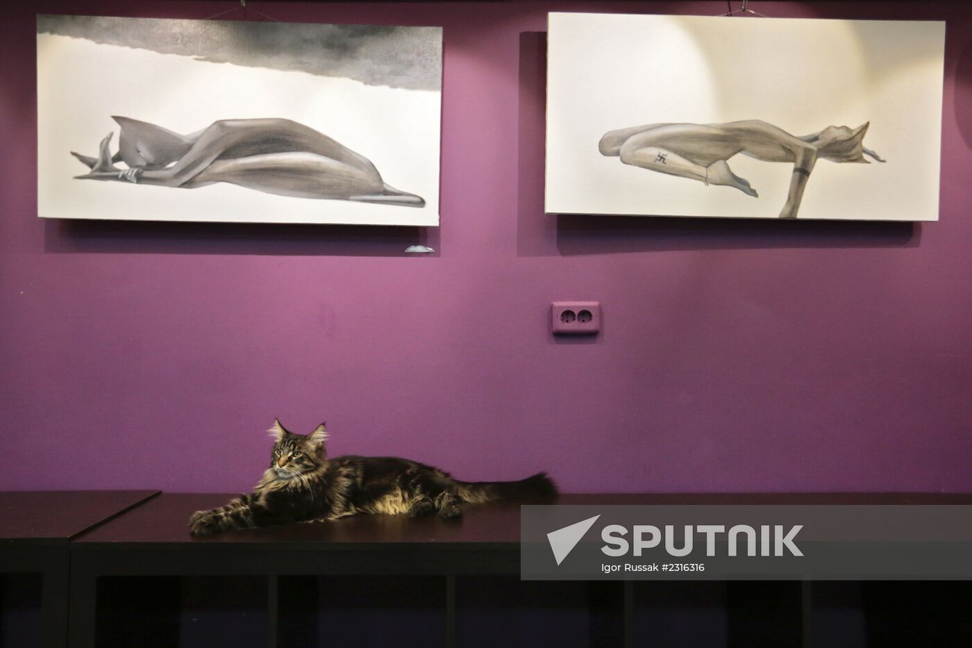 "Cat's Republic" cat-cafe in St Petersburg