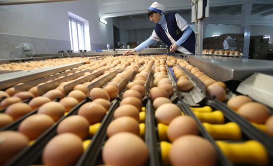1st Minsk Poultry Factory in Belarus