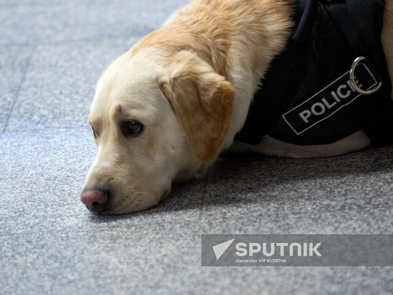 Opening of exhibition dedicated to Moscow Police on Vystavochnaya metro station