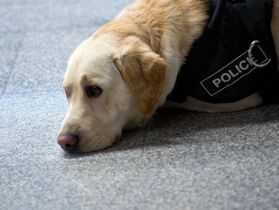 Opening of exhibition dedicated to Moscow Police on Vystavochnaya metro station