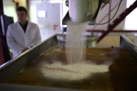 NEVZ-Ceramics launches series production in Novosibirsk