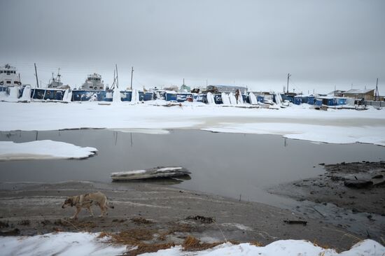 Russia's cities and towns. Anadyr
