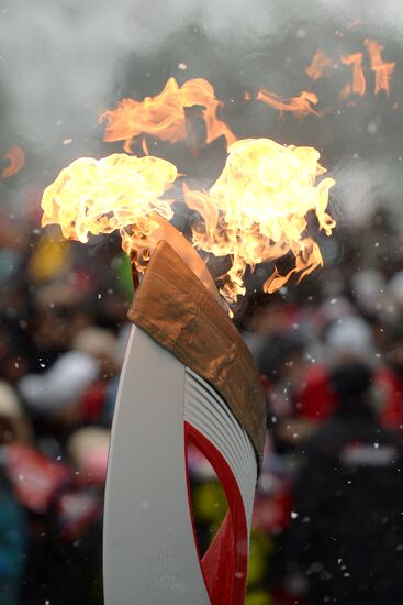 Olympic torch relay. Birobidzhan