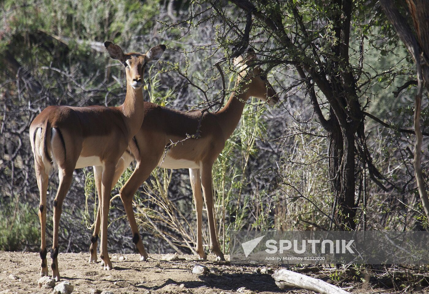 Countries of the world. Namibia