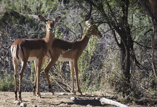 Countries of the world. Namibia