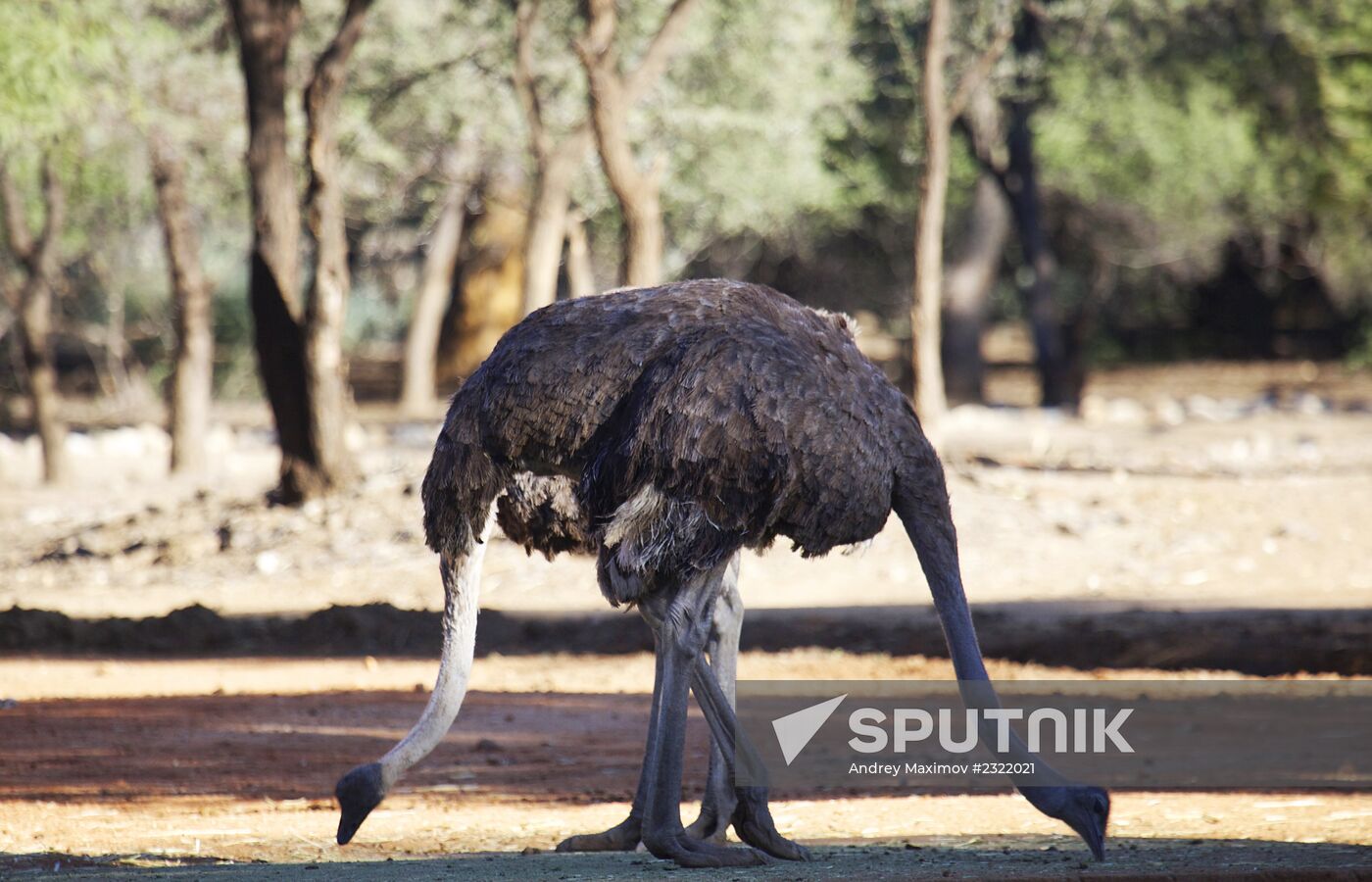 Countries of the world. Namibia
