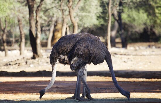 Countries of the world. Namibia