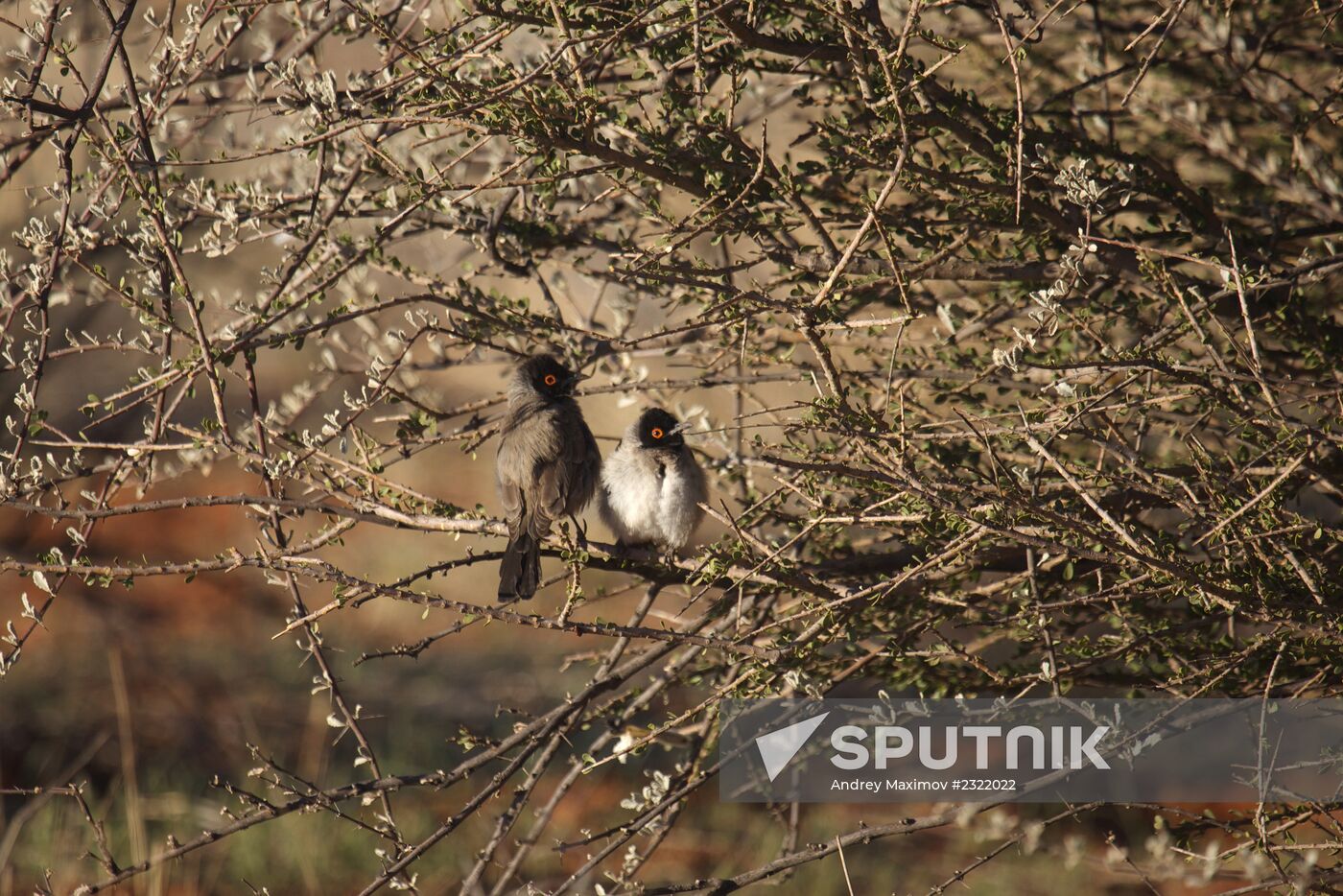 Countries of the world. Namibia