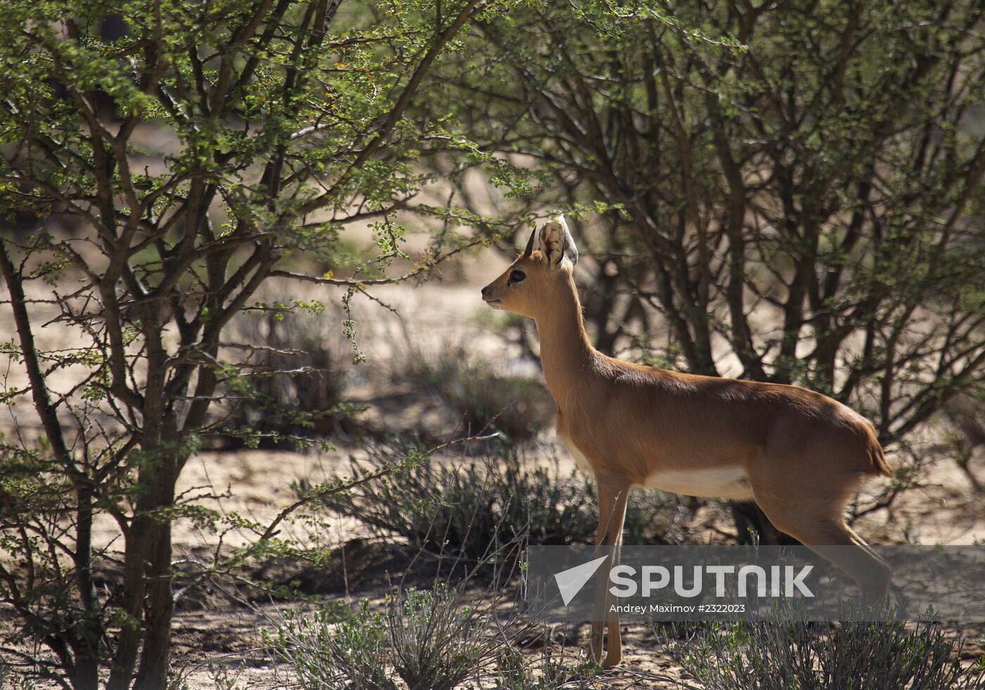 Countries of the world. Namibia