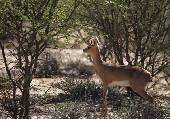 Countries of the world. Namibia