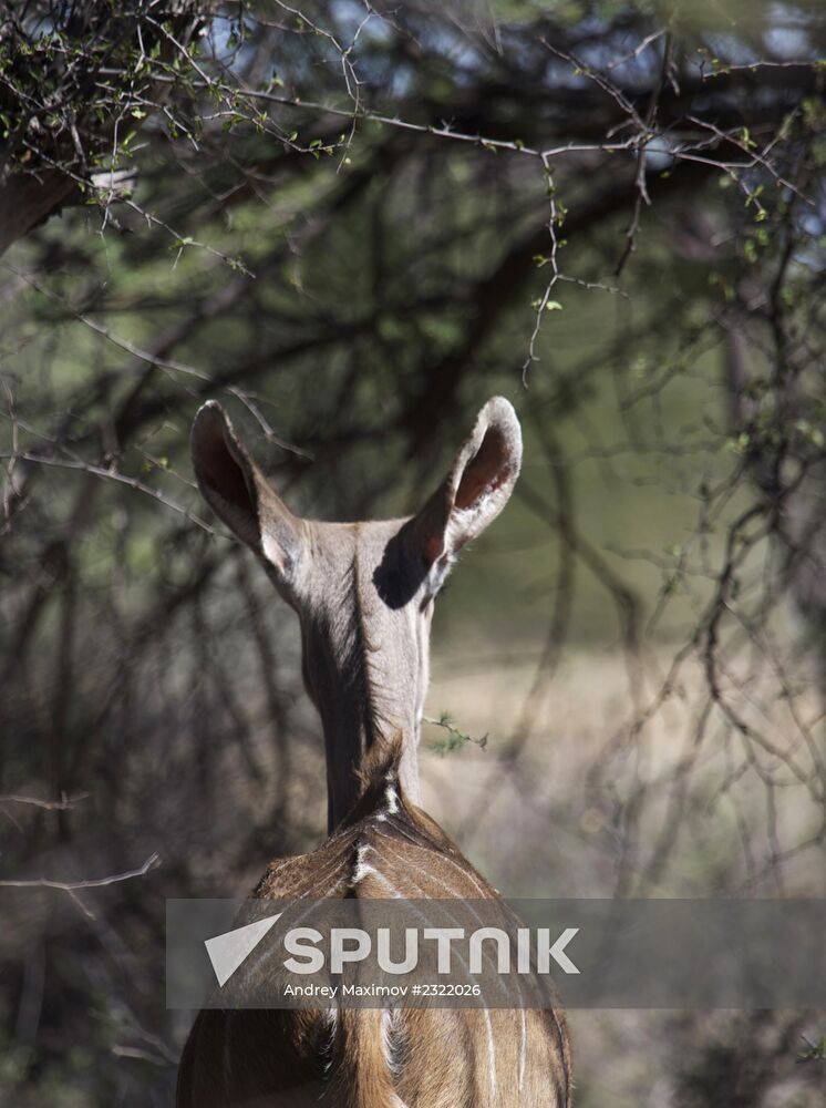 Countries of the world. Namibia