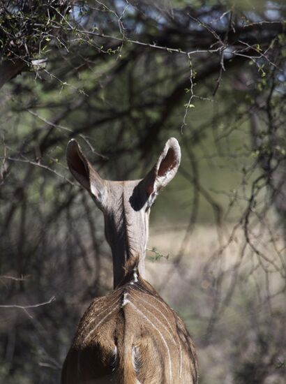 Countries of the world. Namibia