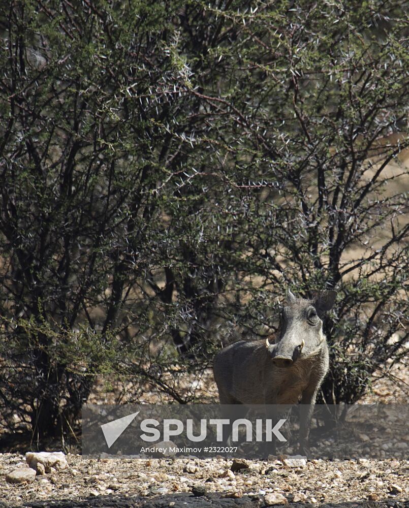 Countries of the world. Namibia