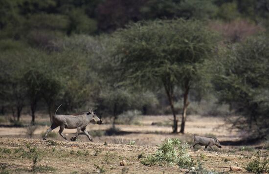 Countries of the world. Namibia